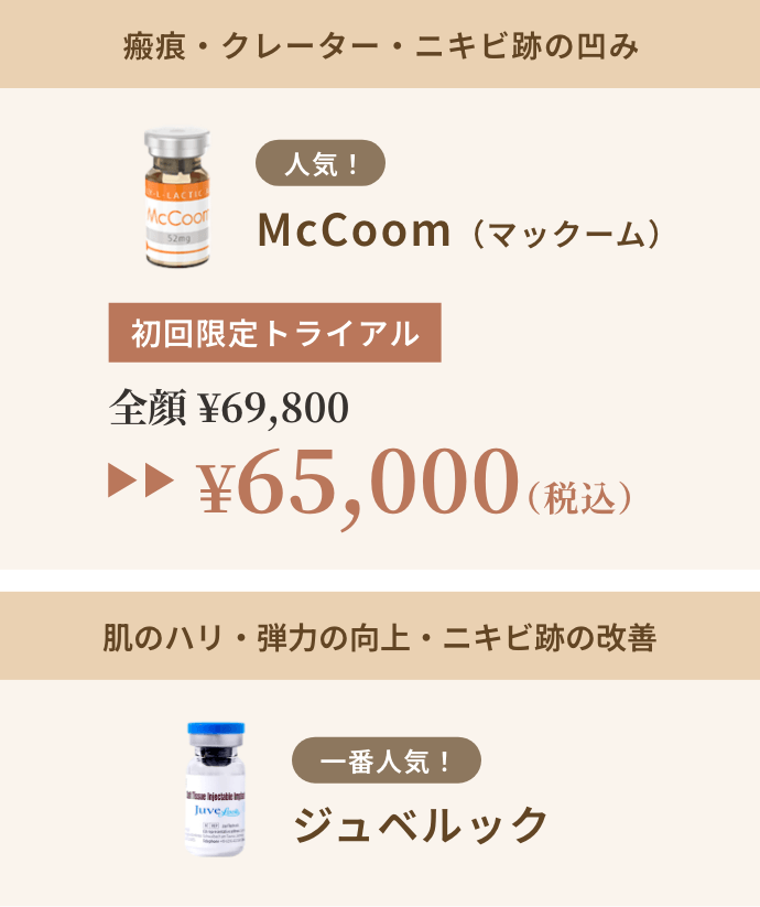 主な薬剤
