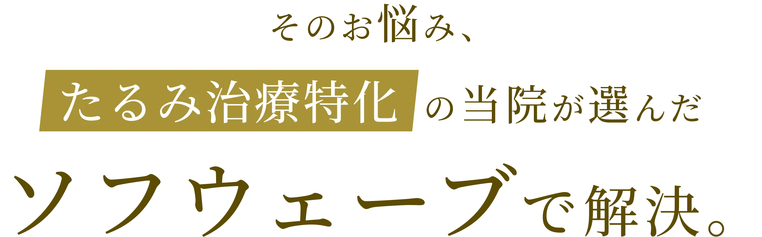ソフウェーブで解決